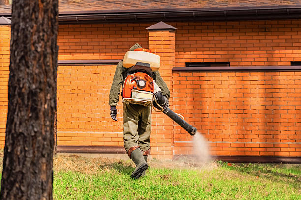 Trusted Termite Control service in Ainaloa, HI - Nex Pest Control